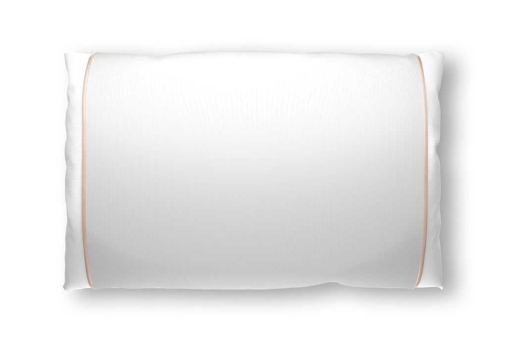 Champagne Silk Pillow Sleeve.