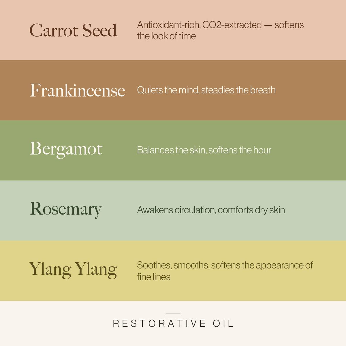Esker Restorative Body Oil | Wild Carrot Seed