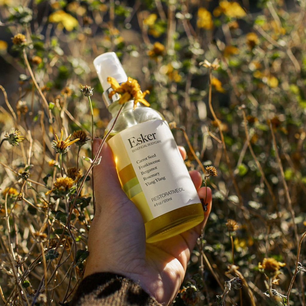 Esker Restorative Body Oil | Wild Carrot Seed